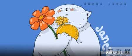 花个200块,买让自己舒服的「好东西」