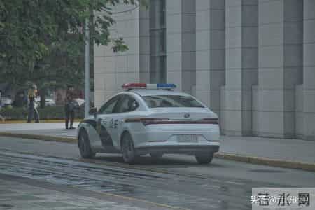 猎杀吧少年——（九十一）抓赌（下）