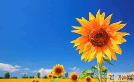 真正爱你的男人，最明显的表现，就这两个行为，很准