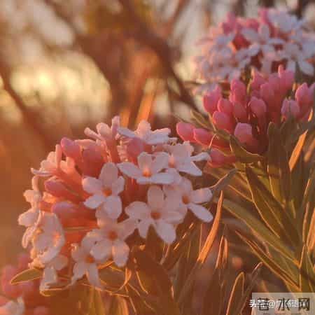 到了五十岁才明白，女人的“生理性喜欢”一生只有两次，别不信！
