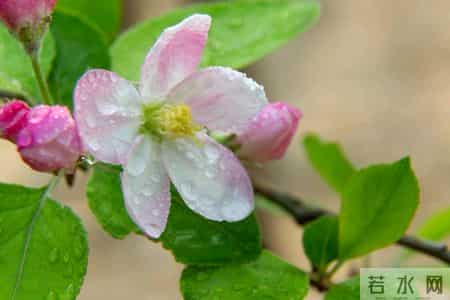 我想让离婚的女儿来家里过年,儿媳生气回娘家才三天就自己回来了