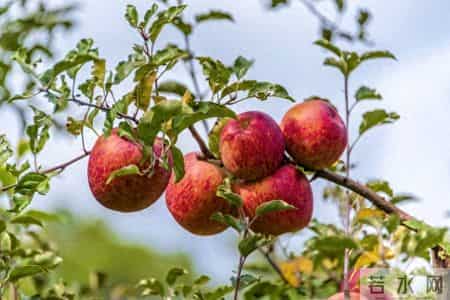 不是迷信，晚年这四个人家里别去，特别是最后一个人家里