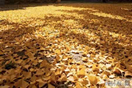 退休后，关系再好，也不要请这5种人吃饭