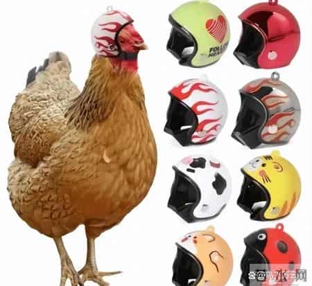 48张老照片看奇闻奇事，爱因斯坦合影卓别林，沙漠中的绿洲，在建中的埃菲尔铁塔