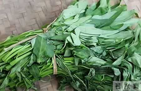 超市员工私下透露：贴黄色标签的食品千万别买！背后套路太深了