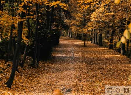 越是深爱过的两个人，断联后越不纠缠，而是默默做这件事