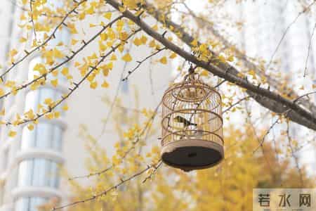 人过七十，没多少光景能瞎耗了，最聪明的活法就是做好这3件事