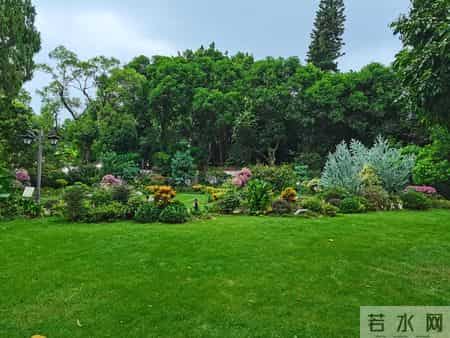 过来人的劝告:如果儿子没什么本事,千万别催婚