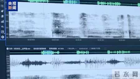 徐发启一审被判死缓，集团罪行曝光：涉案3400余起诈骗11亿余元，打死人的嫌犯挑衅民警“我承认打死了他，你有证据吗”