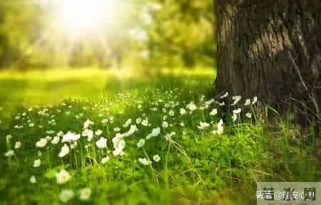 生肖蛇注意:你这辈子最大的“灾难”,就是你自己那身“死心眼”