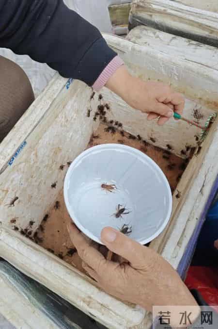 大门封板！招牌已摘！千里堤古玩城怎么突然关门了？