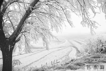 巳蛇，别睡了，三天内你将遇见一个人，他是你命中的贵人