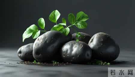 你还在为白发而烦恼吗?快来试试这个天然方法