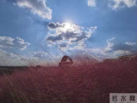 女人动情后,半推半就的三个细节,读懂你就懂!