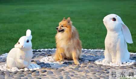 1982年出生的人,感情和婚姻都躲不过这个规律