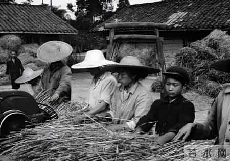 儿子今年48岁还不愿结婚，当晚我把他灌醉，有意撮合他和邻居女儿