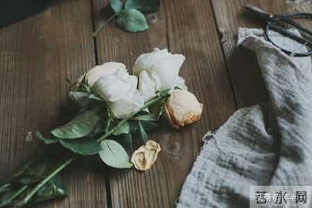 关东风雪情——内心的纠葛（182）