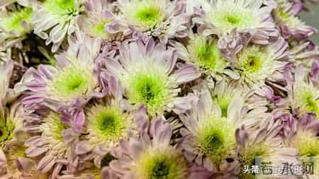 亲人离世头一年这四事千万别碰，血泪教训，莫让家散了