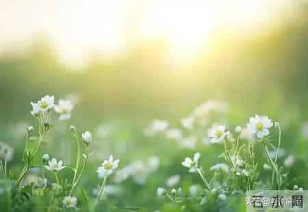 女人接吻时，有这“下意识反应”，说明她已对你“彻底沦陷”