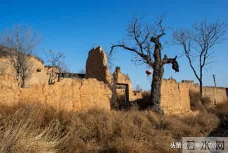 那年春节，一年不来往的小姑送来35元，她转身就走，母亲追了出去