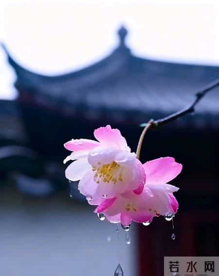 一辈子有钱花不完的五大星座