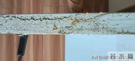 白蚁入侵毁家，业主拒交7000多元物业费被起诉，法院：酌情减免！