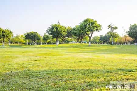 东莞人的五大怪习惯!外地人难接受,直呼 “太离谱”!