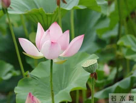 你要明白，男人只有和不喜欢的女人，才会这么相处，没人说但你要懂