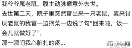 亲人离世的后劲到底能有多大？网友：包完包子下意识喊妈妈…