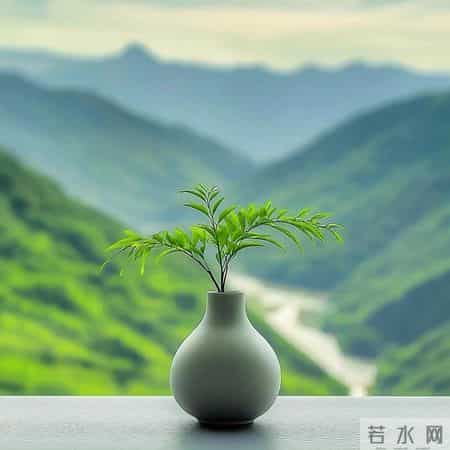 能旺你一辈子的头像