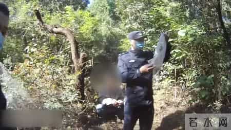 赔不起就种树! 2019年江苏男子河边诱捕2万多只, 判赔600万无力支付