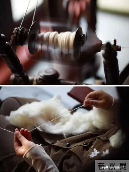 意大利羊绒卖3万，中国原料卖300：我们到底被谁割了？