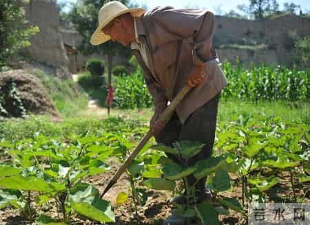 爷爷去世后，我家就再没回去过，出差路过，我发现院内竟有人居住