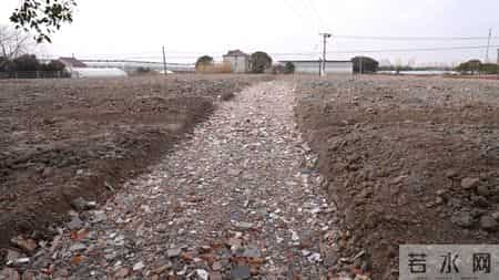 侵占20亩农用地非法倾倒渣土！上海警方凌晨收网，7人被抓