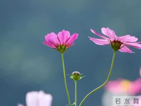 永远不要在亲戚面前炫耀这三样东西，否则是在给自己招祸