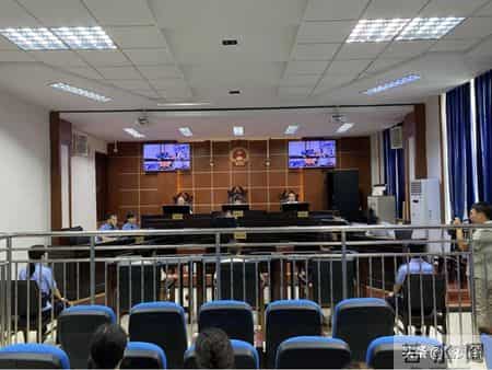 价值5.4万仅卖1.6万！贵州一株108岁瓶兰花，被4人深夜连根挖走