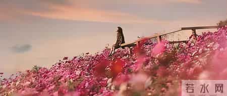 完-除夕夜婆婆藏我药，丈夫一巴掌打醒我：我的命在他家算什么？