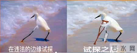 “证”是假的,“刑”可是真的!