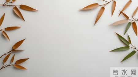 人老了,这6样,你占一样就了不起,全占简直是人生赢家!