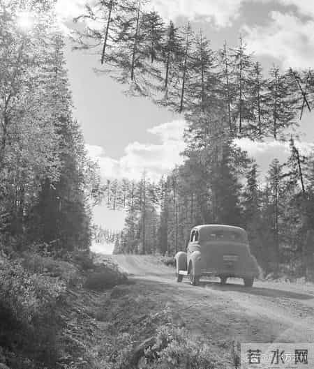 48张老照片看奇闻奇事，爱因斯坦合影卓别林，沙漠中的绿洲，在建中的埃菲尔铁塔