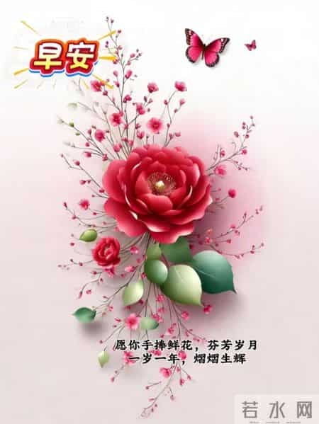 早安！快乐是个宝，健康离不了，每天问个好，开心活到老！