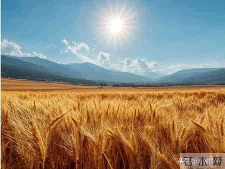 2026的马年，大年初一最不能穿的5种衣服！