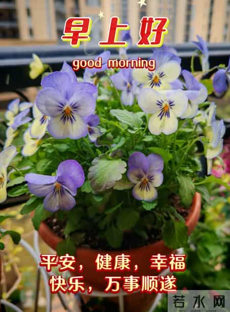 2026年1月27日周二早上好 早上好图片最新今天 温馨淡雅的早安图片