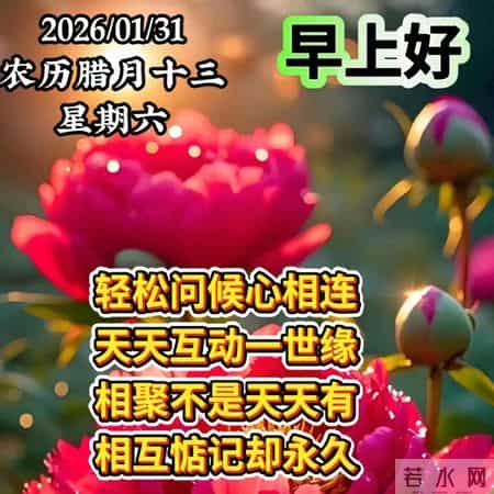 2026年1月31日周六早上好，冬日早安暖心图片，冬日问候祝福语