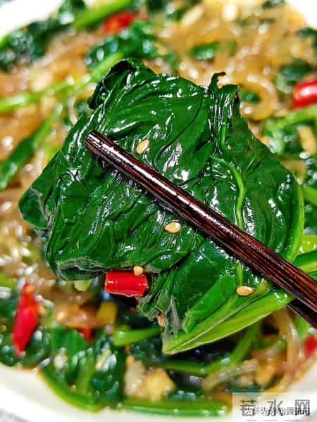 我家一周的晚餐就靠它们！10道百搭家常菜，简单又好吃不重样