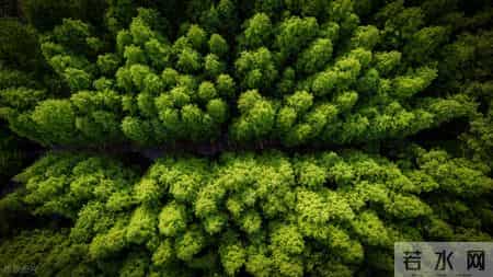 人过60，永远不要在熟人面前，说以下几句话，谁说谁后悔，切记。