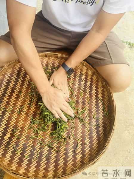 网友记录手指甲掉落的全过程