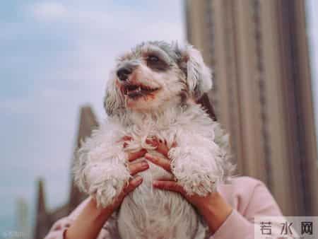 中央定调！2026年开始这三年，普通人钱到底怎么赚？