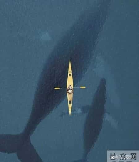 48张老照片看奇闻奇事，爱因斯坦合影卓别林，沙漠中的绿洲，在建中的埃菲尔铁塔