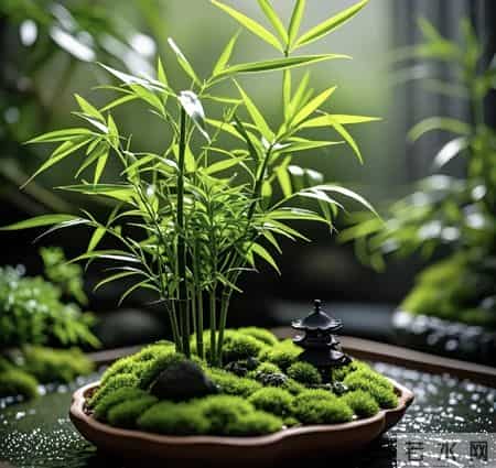 越用越旺的节节高升头像